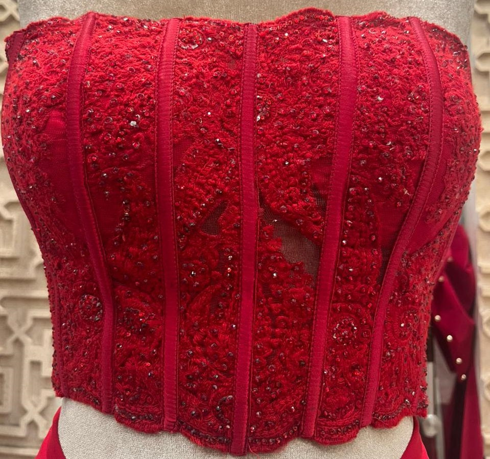 Luxury Red  Saree with Embellished Blouse