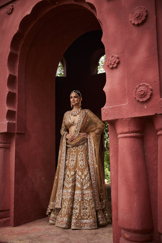 Almond Exquisite Lehenga Set