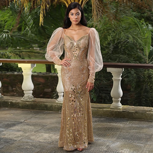 Brown Beaded Net Dress